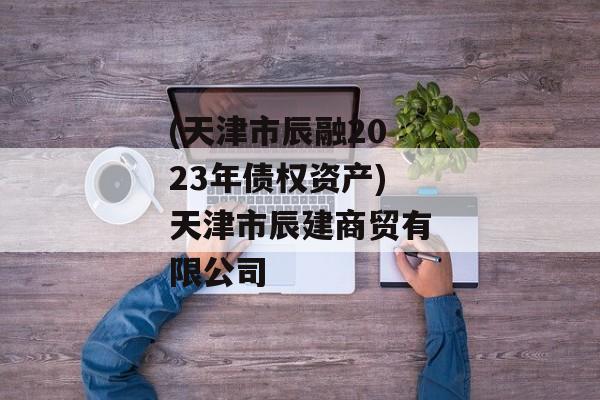 (天津市辰融2023年债权资产)天津市辰建商贸有限公司