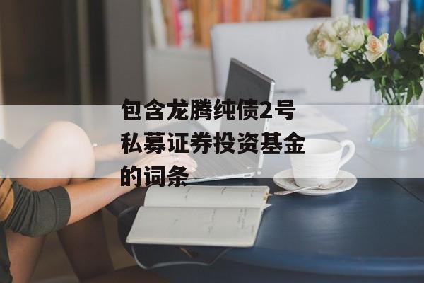 包含龙腾纯债2号私募证券投资基金的词条