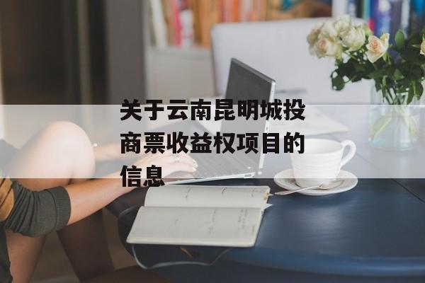 关于云南昆明城投商票收益权项目的信息