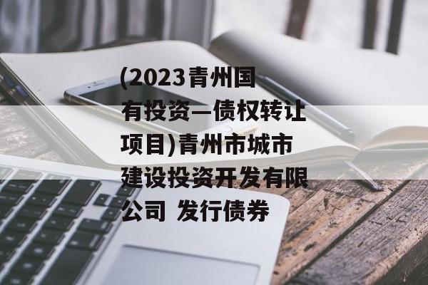 (2023青州国有投资—债权转让项目)青州市城市建设投资开发有限公司 发行债券