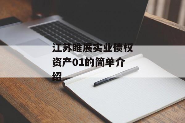 江苏睢展实业债权资产01的简单介绍