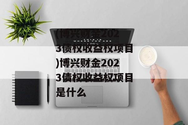 (博兴财金2023债权收益权项目)博兴财金2023债权收益权项目是什么