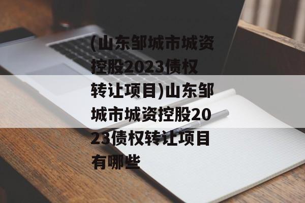 (山东邹城市城资控股2023债权转让项目)山东邹城市城资控股2023债权转让项目有哪些