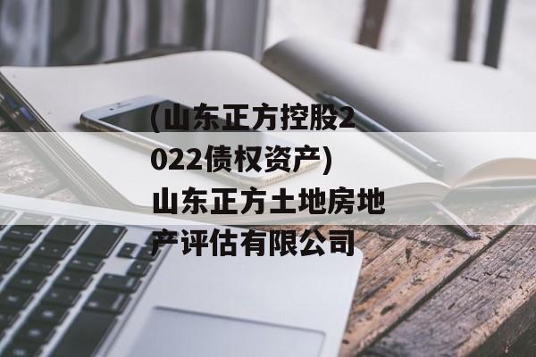 (山东正方控股2022债权资产)山东正方土地房地产评估有限公司