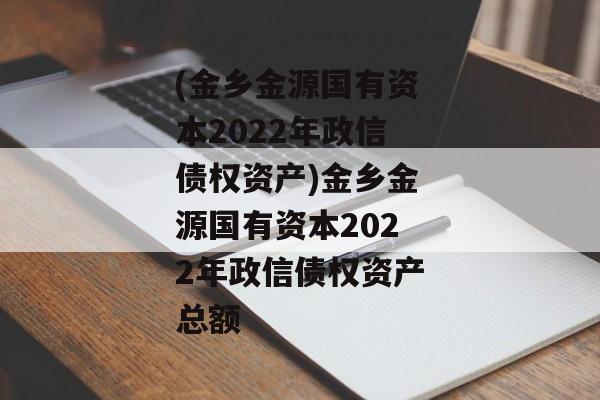 (金乡金源国有资本2022年政信债权资产)金乡金源国有资本2022年政信债权资产总额