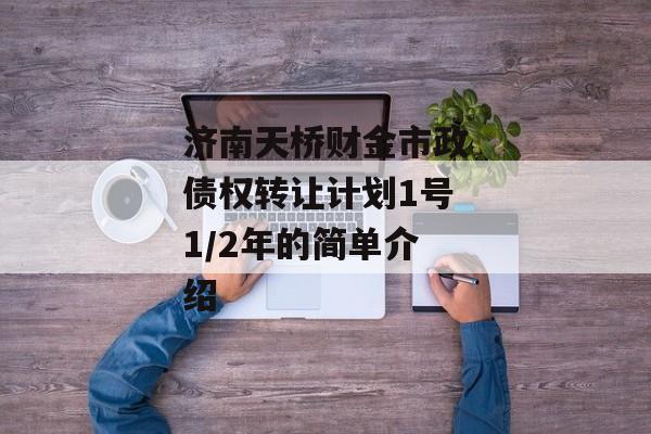 济南天桥财金市政债权转让计划1号1/2年的简单介绍