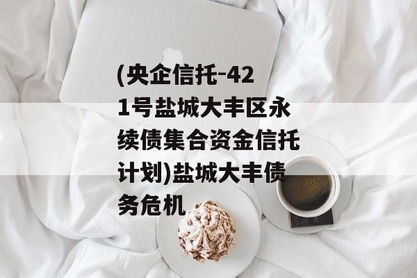 (央企信托-421号盐城大丰区永续债集合资金信托计划)盐城大丰债务危机