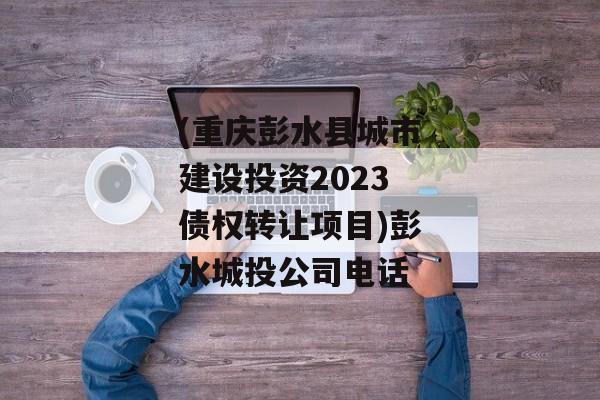 (重庆彭水县城市建设投资2023债权转让项目)彭水城投公司电话