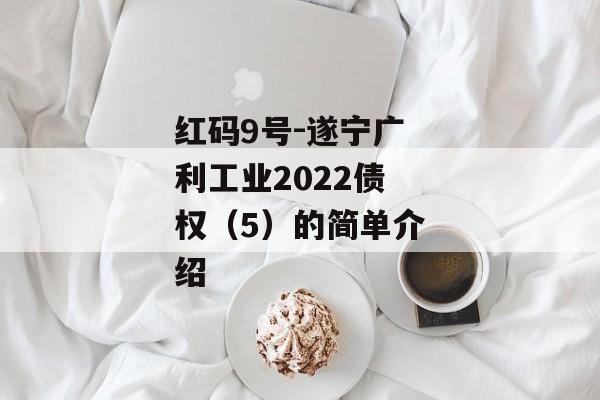 红码9号-遂宁广利工业2022债权（5）的简单介绍