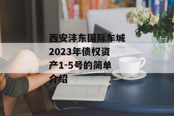 西安沣东国际车城2023年债权资产1-5号的简单介绍