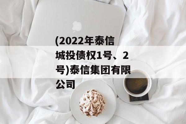 (2022年泰信城投债权1号、2号)泰信集团有限公司