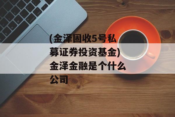 (金泽固收5号私募证券投资基金)金泽金融是个什么公司