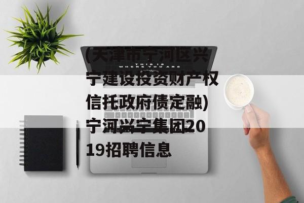 (天津市宁河区兴宁建设投资财产权信托政府债定融)宁河兴宁集团2019招聘信息