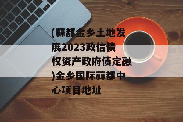 (蒜都金乡土地发展2023政信债权资产政府债定融)金乡国际蒜都中心项目地址