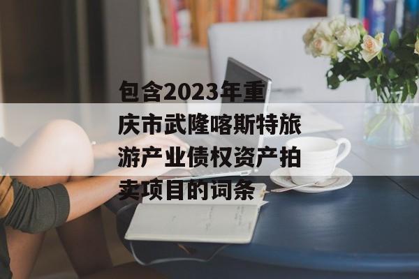 包含2023年重庆市武隆喀斯特旅游产业债权资产拍卖项目的词条