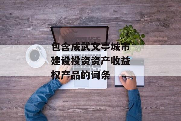 包含成武文亭城市建设投资资产收益权产品的词条