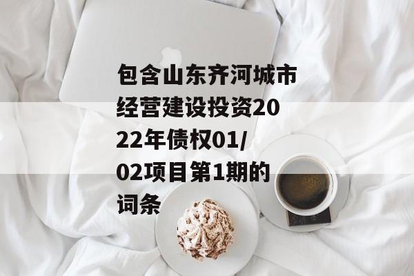 包含山东齐河城市经营建设投资2022年债权01/02项目第1期的词条