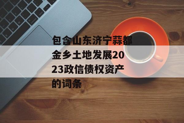 包含山东济宁蒜都金乡土地发展2023政信债权资产的词条