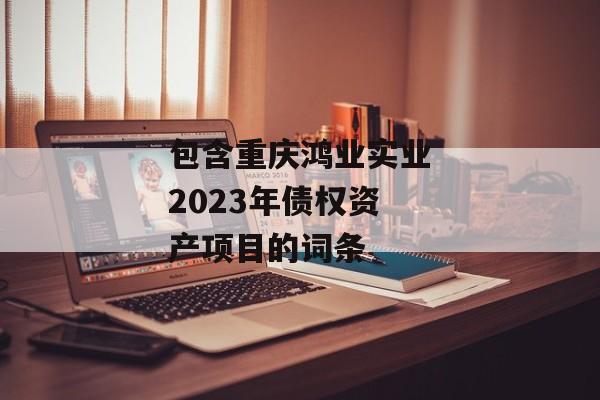 包含重庆鸿业实业2023年债权资产项目的词条