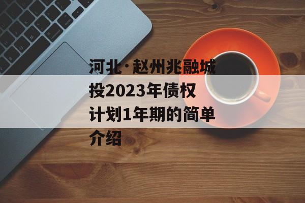 河北·赵州兆融城投2023年债权计划1年期的简单介绍