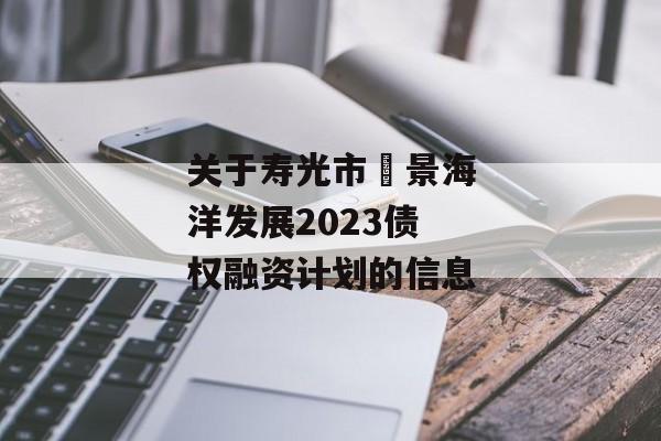 关于寿光市昇景海洋发展2023债权融资计划的信息