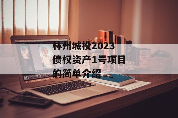 林州城投2023债权资产1号项目的简单介绍