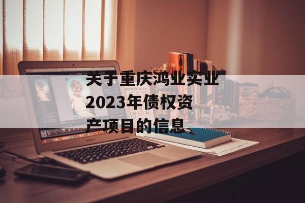 关于重庆鸿业实业2023年债权资产项目的信息