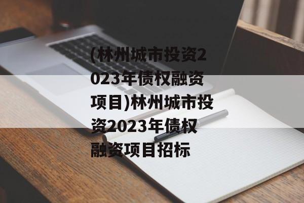 (林州城市投资2023年债权融资项目)林州城市投资2023年债权融资项目招标