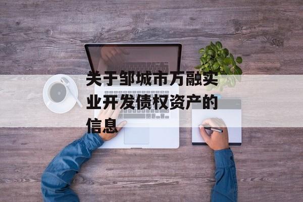 关于邹城市万融实业开发债权资产的信息