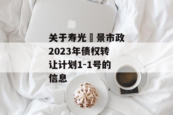 关于寿光昇景市政2023年债权转让计划1-1号的信息