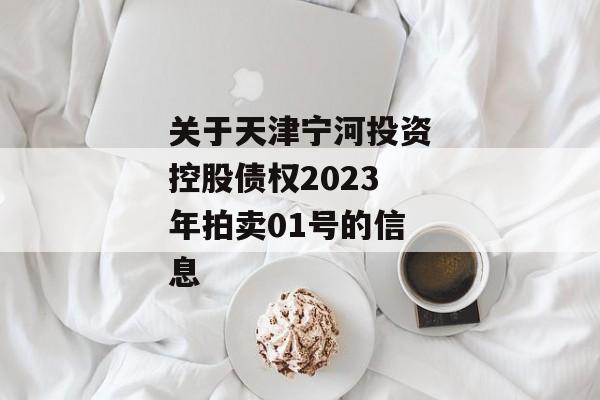 关于天津宁河投资控股债权2023年拍卖01号的信息