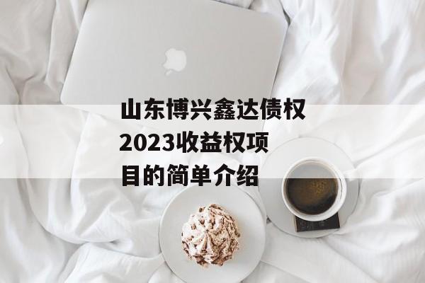 山东博兴鑫达债权2023收益权项目的简单介绍