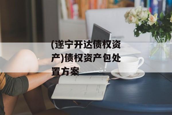 (遂宁开达债权资产)债权资产包处置方案