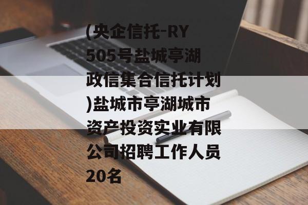 (央企信托-RY505号盐城亭湖政信集合信托计划)盐城市亭湖城市资产投资实业有限公司招聘工作人员20名