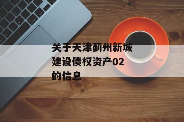 关于天津蓟州新城建设债权资产02的信息