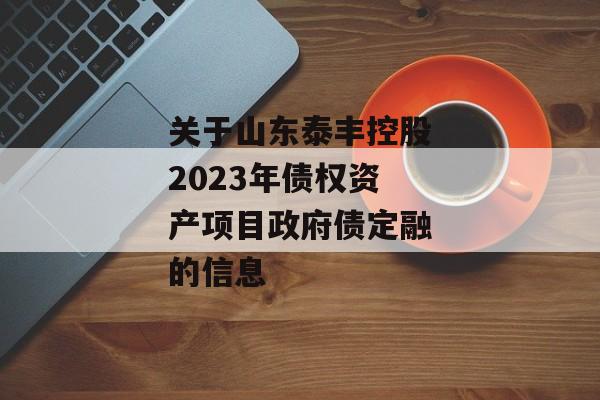 关于山东泰丰控股2023年债权资产项目政府债定融的信息