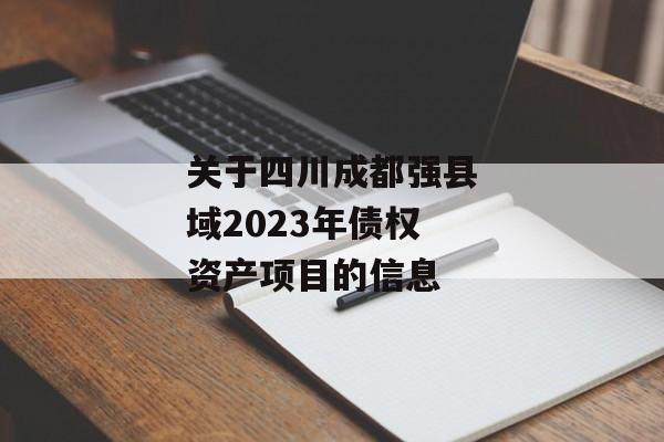 关于四川成都强县域2023年债权资产项目的信息