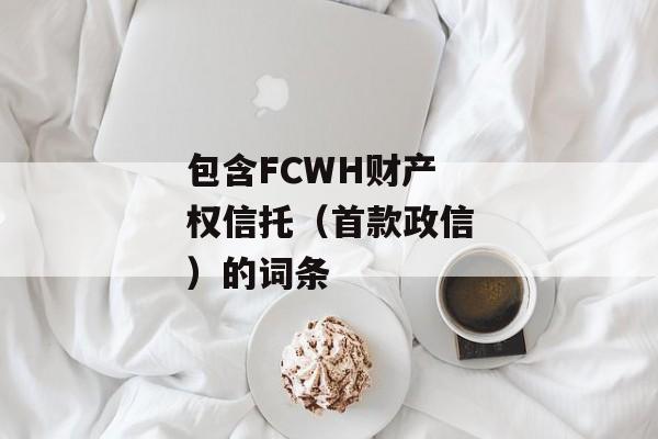 包含FCWH财产权信托（首款政信）的词条