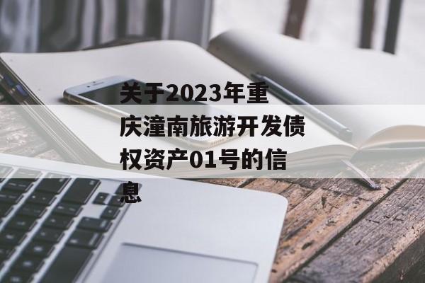 关于2023年重庆潼南旅游开发债权资产01号的信息