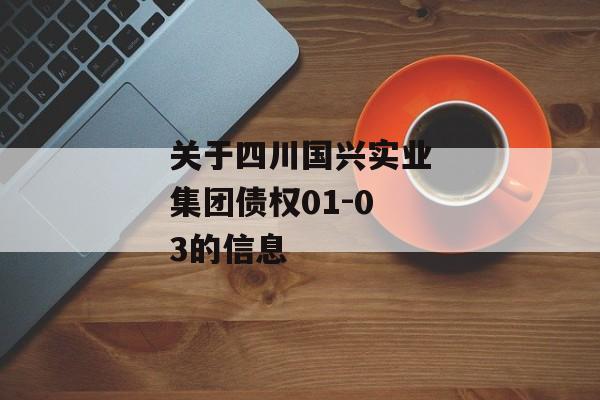 关于四川国兴实业集团债权01-03的信息