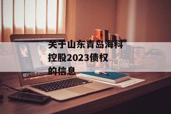 关于山东青岛海科控股2023债权的信息