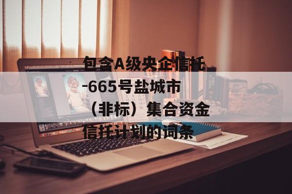 包含A级央企信托-665号盐城市（非标）集合资金信托计划的词条