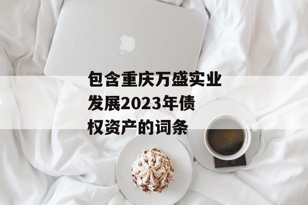 包含重庆万盛实业发展2023年债权资产的词条