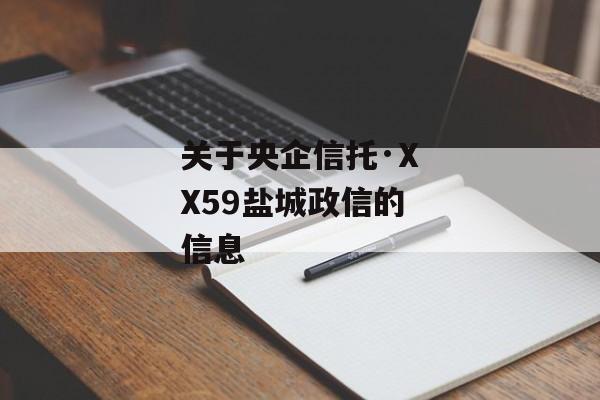 关于央企信托·XX59盐城政信的信息