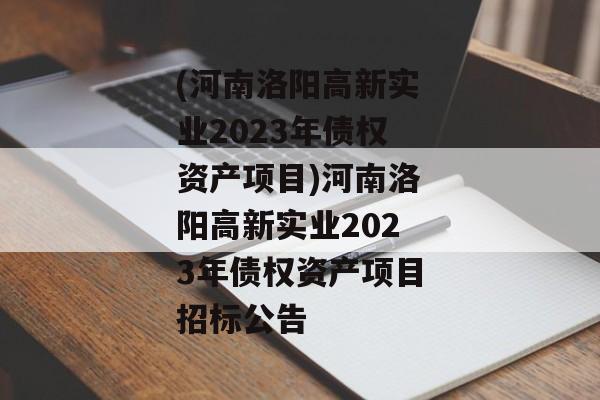 (河南洛阳高新实业2023年债权资产项目)河南洛阳高新实业2023年债权资产项目招标公告