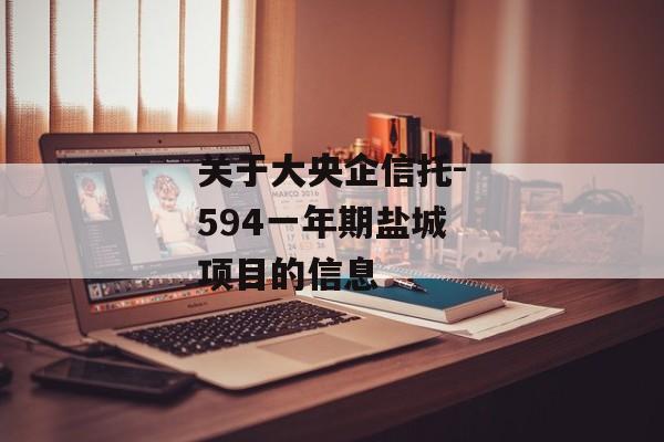 关于大央企信托-594一年期盐城项目的信息