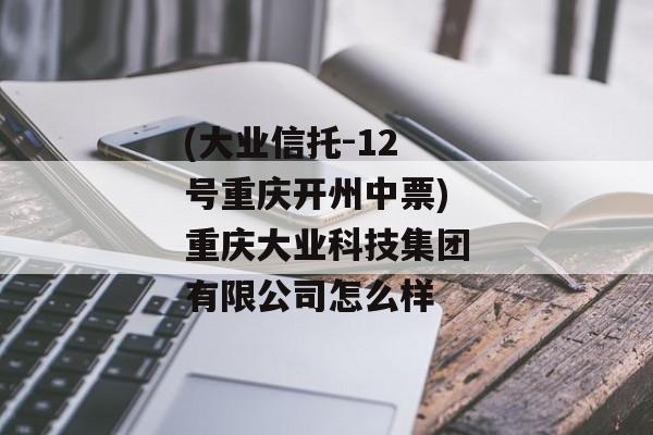 (大业信托-12号重庆开州中票)重庆大业科技集团有限公司怎么样
