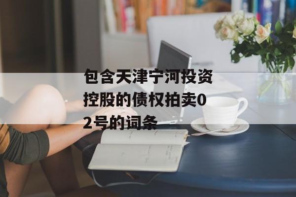 包含天津宁河投资控股的债权拍卖02号的词条