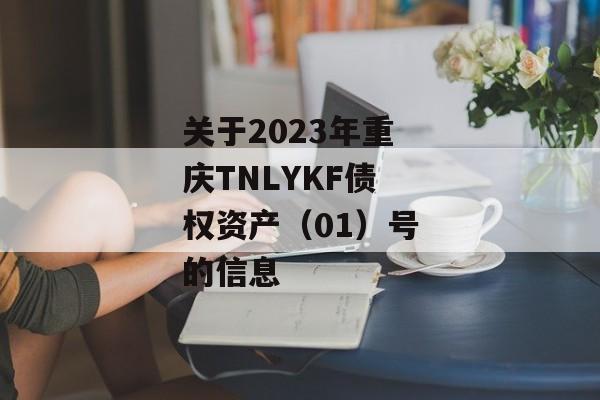 关于2023年重庆TNLYKF债权资产（01）号的信息