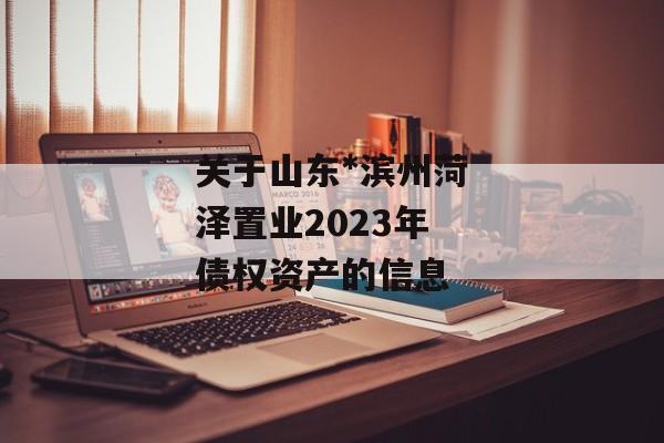 关于山东*滨州菏泽置业2023年债权资产的信息